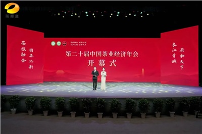 【聚焦第二十屆中國茶業(yè)經(jīng)濟年會】益陽茶廠榮獲“民族團結(jié)互助企業(yè)”、“2024年度茶業(yè)重點企業(yè)”榮譽稱號